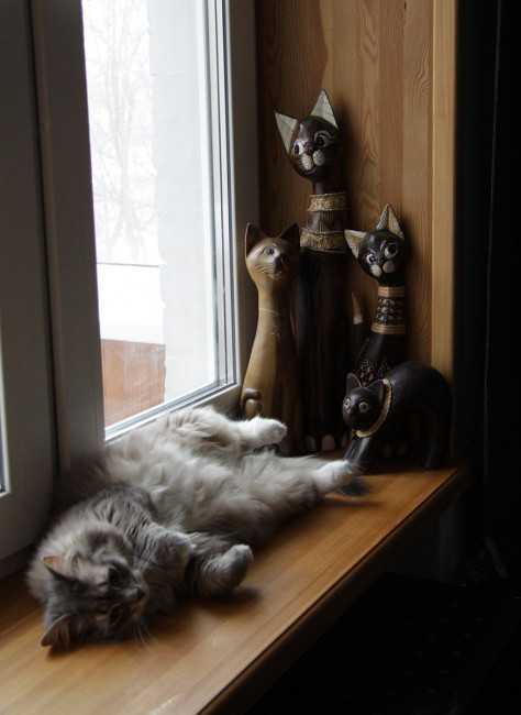 IMG_7337_1.jpg