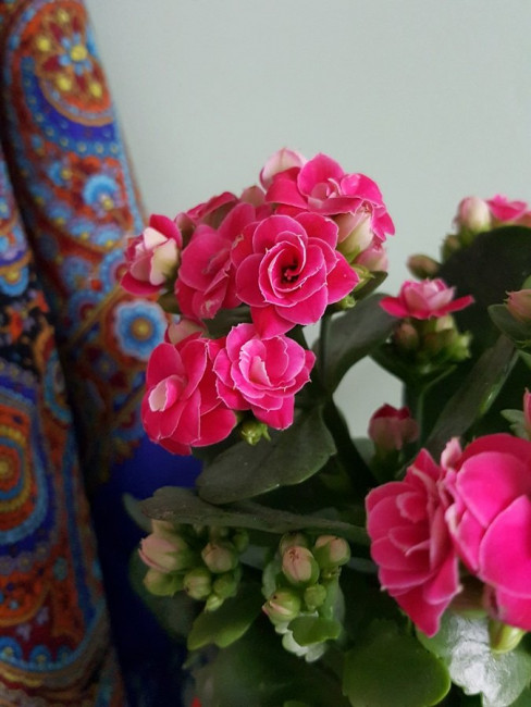 20230302_150633.jpg