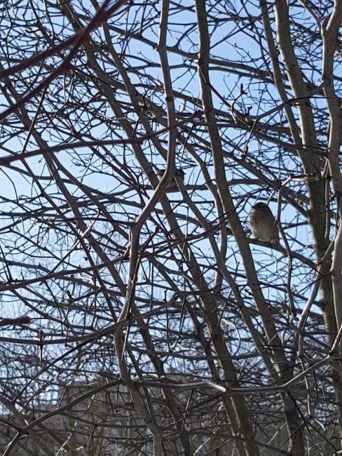 20230403_082910.jpg