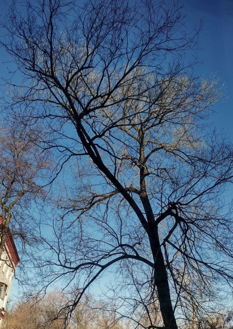 IMG_20230406_090921~2.jpg