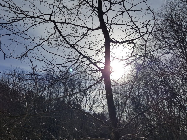 20230309_150536.jpg