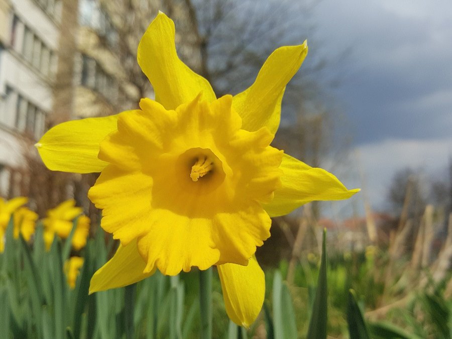 20230418_153119.jpg
