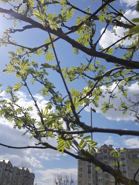 20230424_143318.jpg