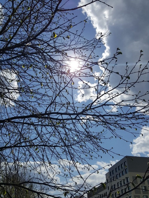 20230424_144534.jpg