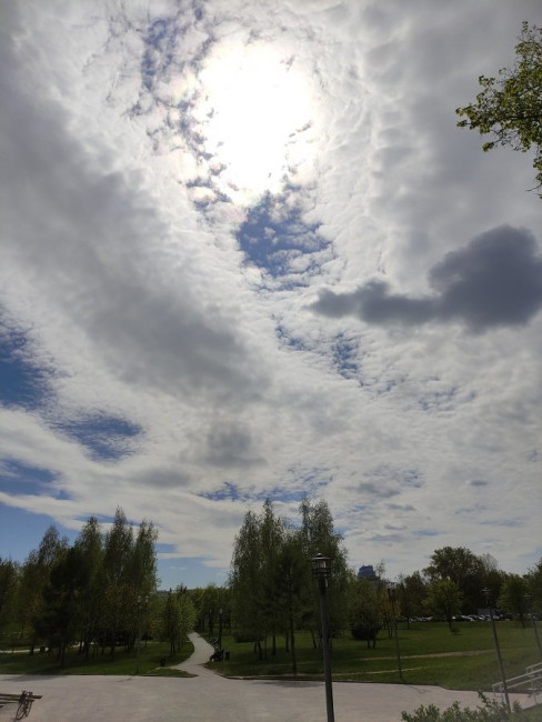 IMG_20230430_135601.jpg