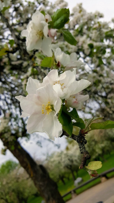 20190508_152227.jpg