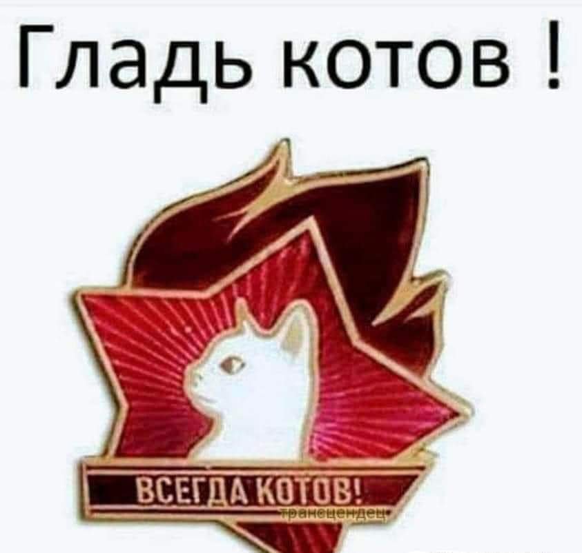 FB_IMG_1684517070802.jpg