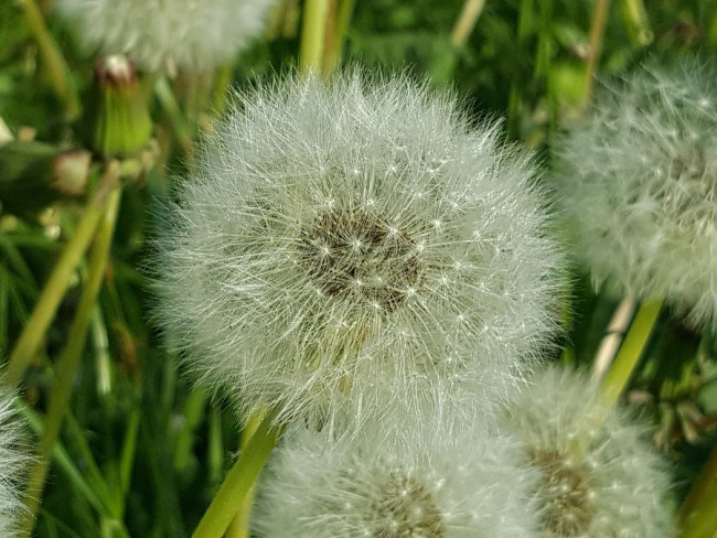 20230524_100249.jpg