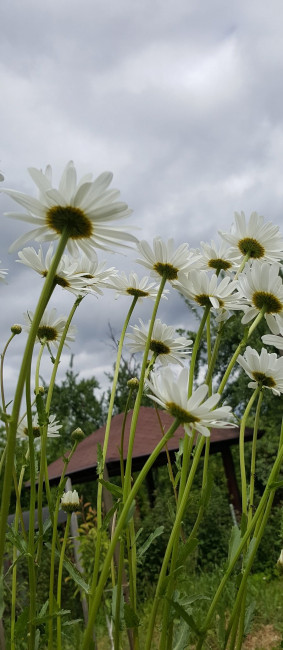 20230603_191019.jpg