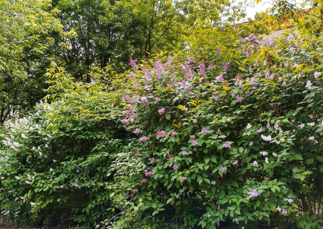 IMG_20230604_210612.jpg