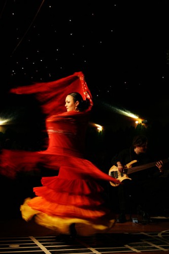 Flamenco.jpg
