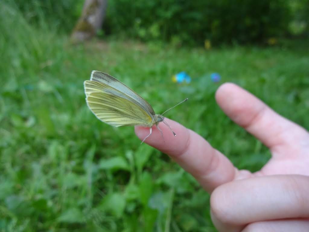 DSC09058.JPG