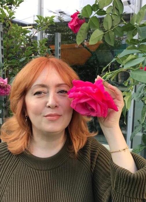 роза &quot;Владимир Высоцкий&quot;