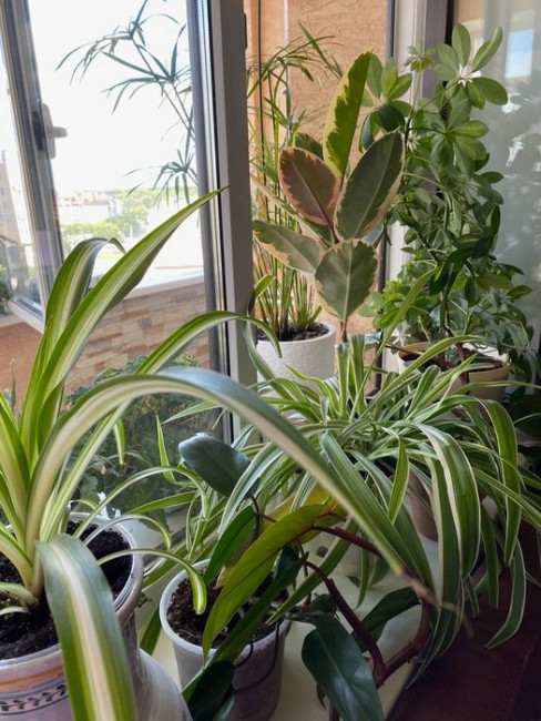 resize-image-online.com_IMG3807jpg_WTzXE47E.jpg