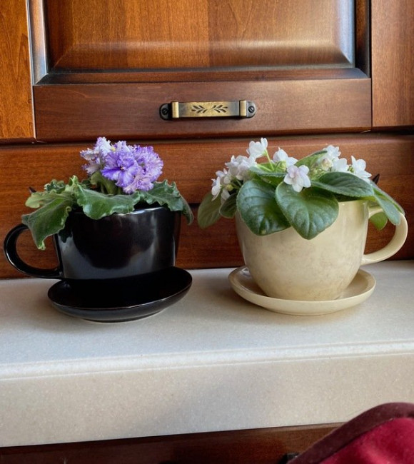 resize-image-online.com_IMG3808jpg_WdguFFD4.jpg