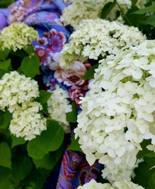 20230702_122613.jpg