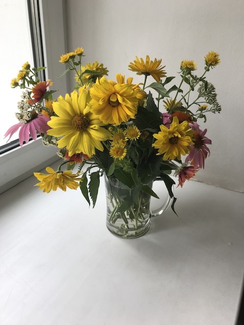 IMG_0774.jpeg