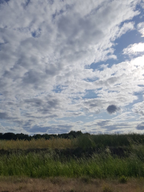 20230603_180956.jpg