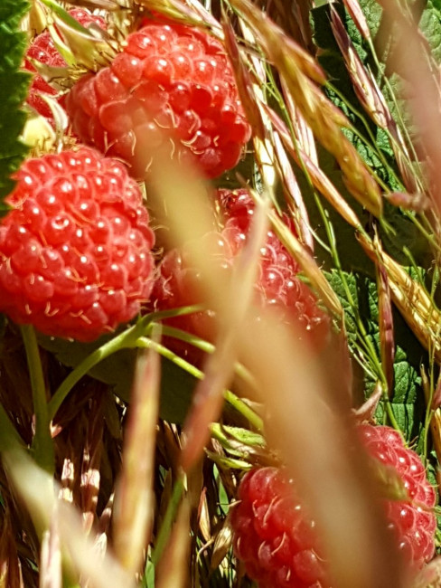 20230714_140145.jpg