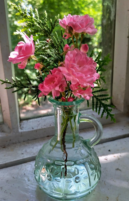 IMG_20230717_144629.jpg