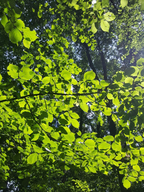 20230719_143038.jpg