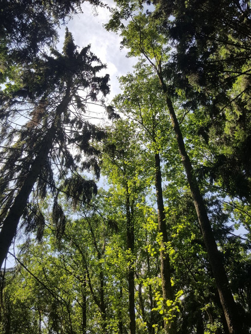 20230719_143214.jpg