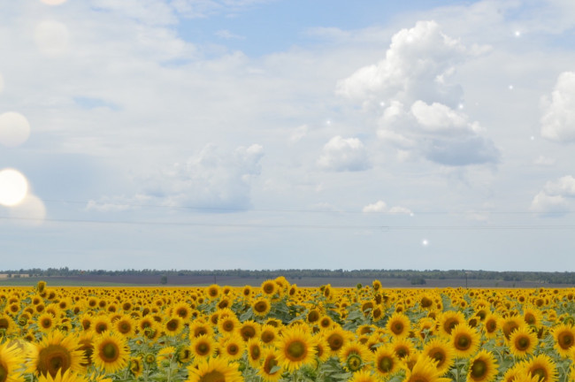 C77469F8-43E6-4F20-B802-414E21B9056B.jpeg