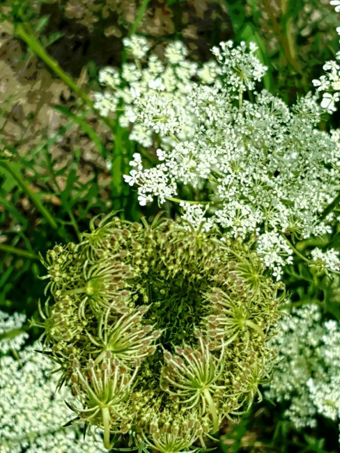 20230801_104111.jpg