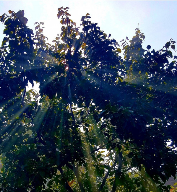 20230806_100336.jpg
