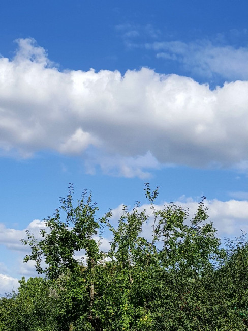 20230812_163244.jpg