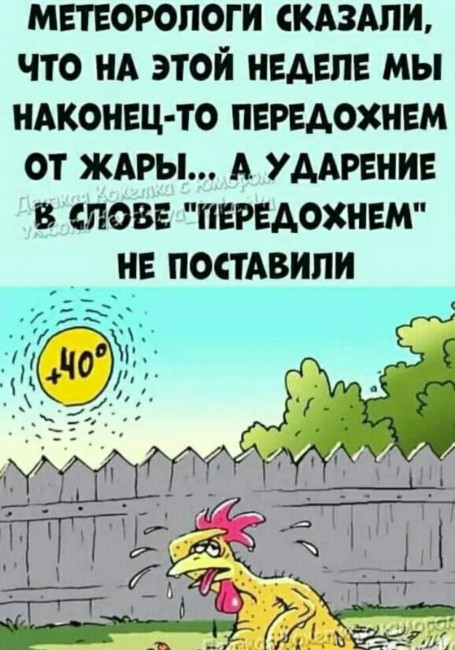 Screenshot_20230815_152434_ru.yandex.searchplugin_edit_3042201783031108.jpg
