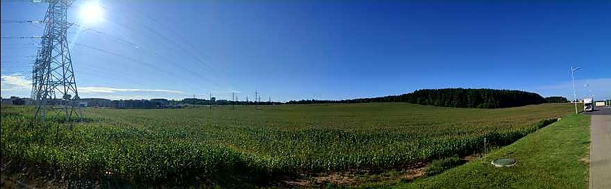 20230814_162443.jpg