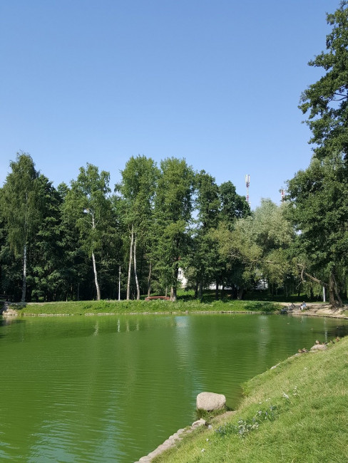 20230829_144546.jpg