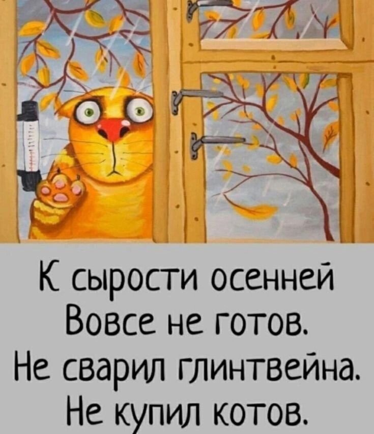 IMG-20230902-WA0001.jpg