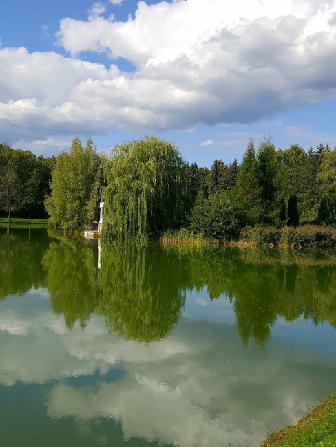20230903_155920.jpg