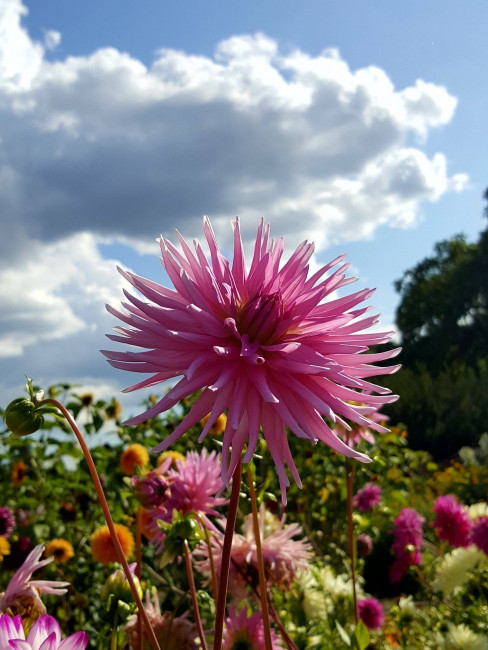 20230903_151525.jpg