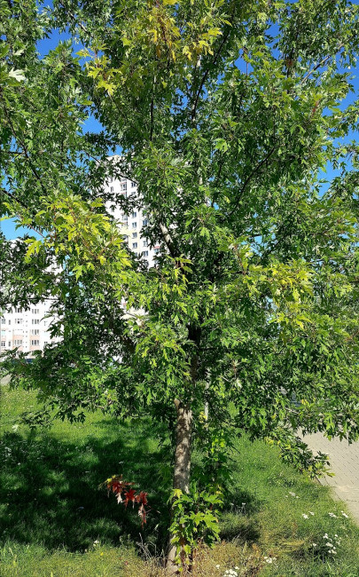 20230912_095225.jpg
