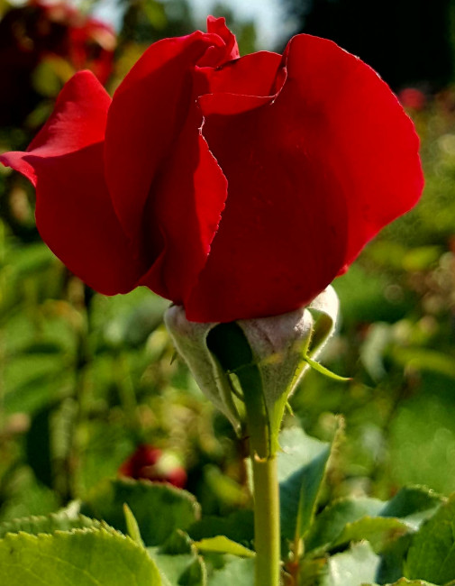 20230904_233921.jpg