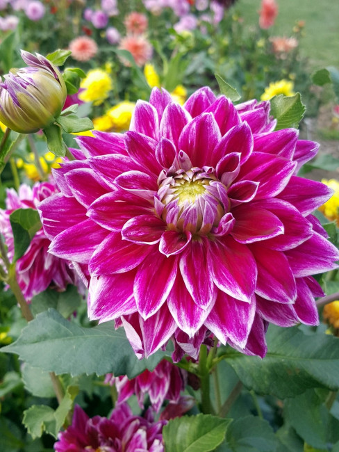 20230903_173046.jpg