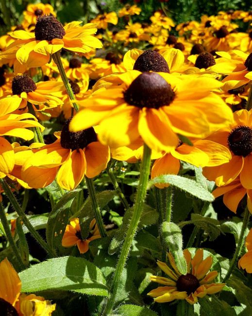 20230907_095701.jpg