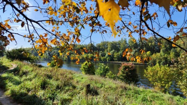 осень2.jpg