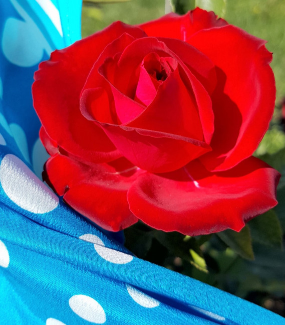 20230903_191105.jpg