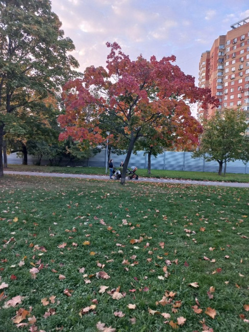 20230924_175925.jpg