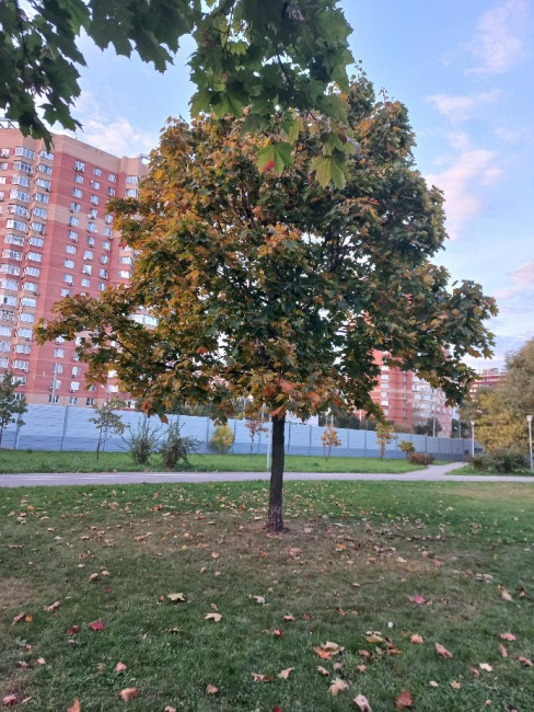 20230924_175944.jpg