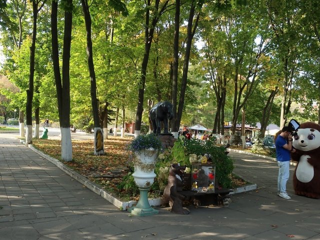 IMG_3890_hf.jpg