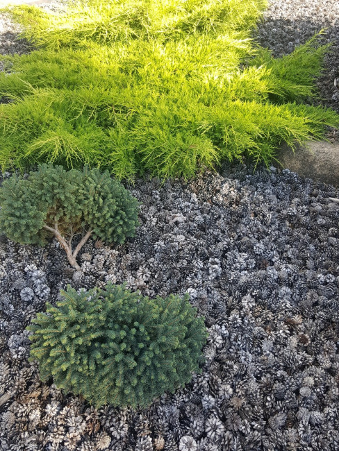 20230903_161735.jpg