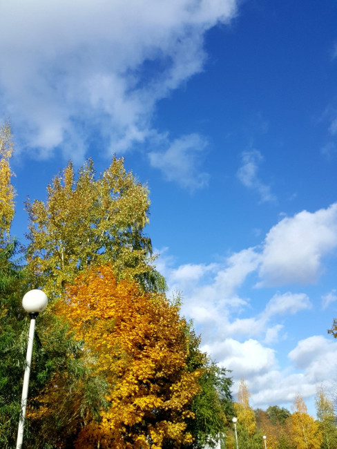 20231015_135139.jpg