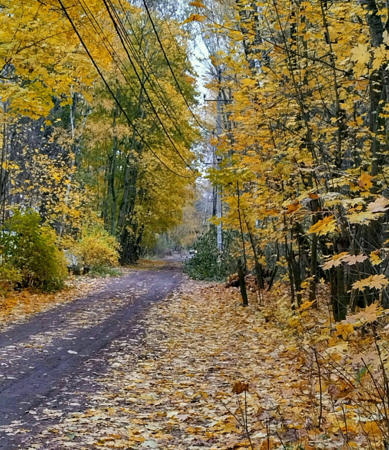IMG_20231021_151723_HDR~2 (1).jpg