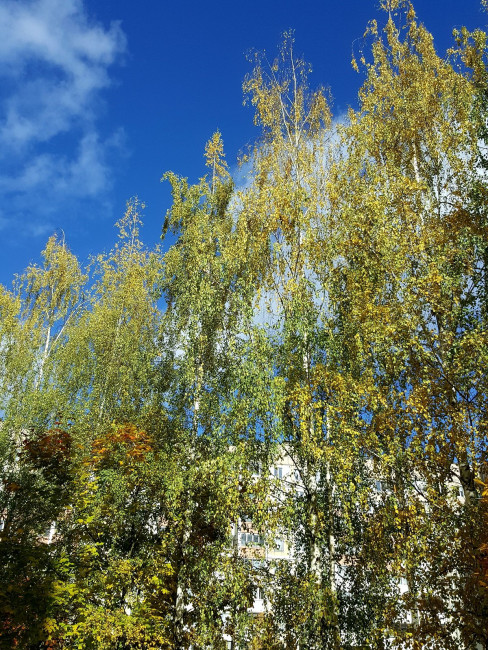 20231015_135028.jpg
