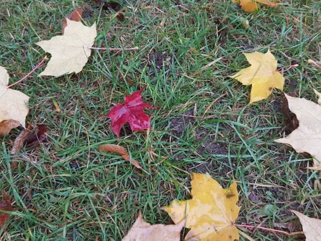 20231020_171515.jpg